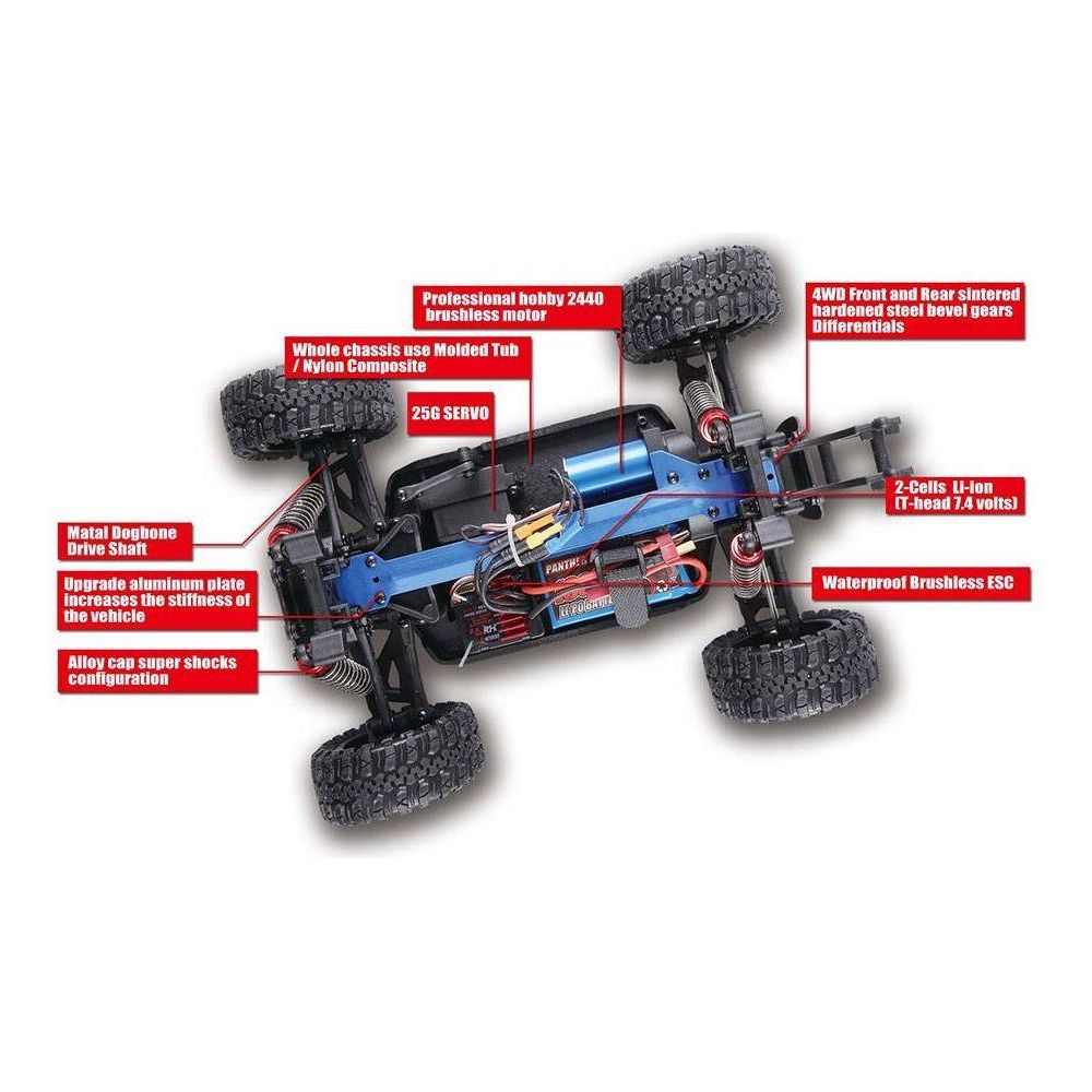 Remo Hobby Dingo 1/16 4wd Off Road Buggy Brushless-RC CAR-Remo Hobby-ProHobbies